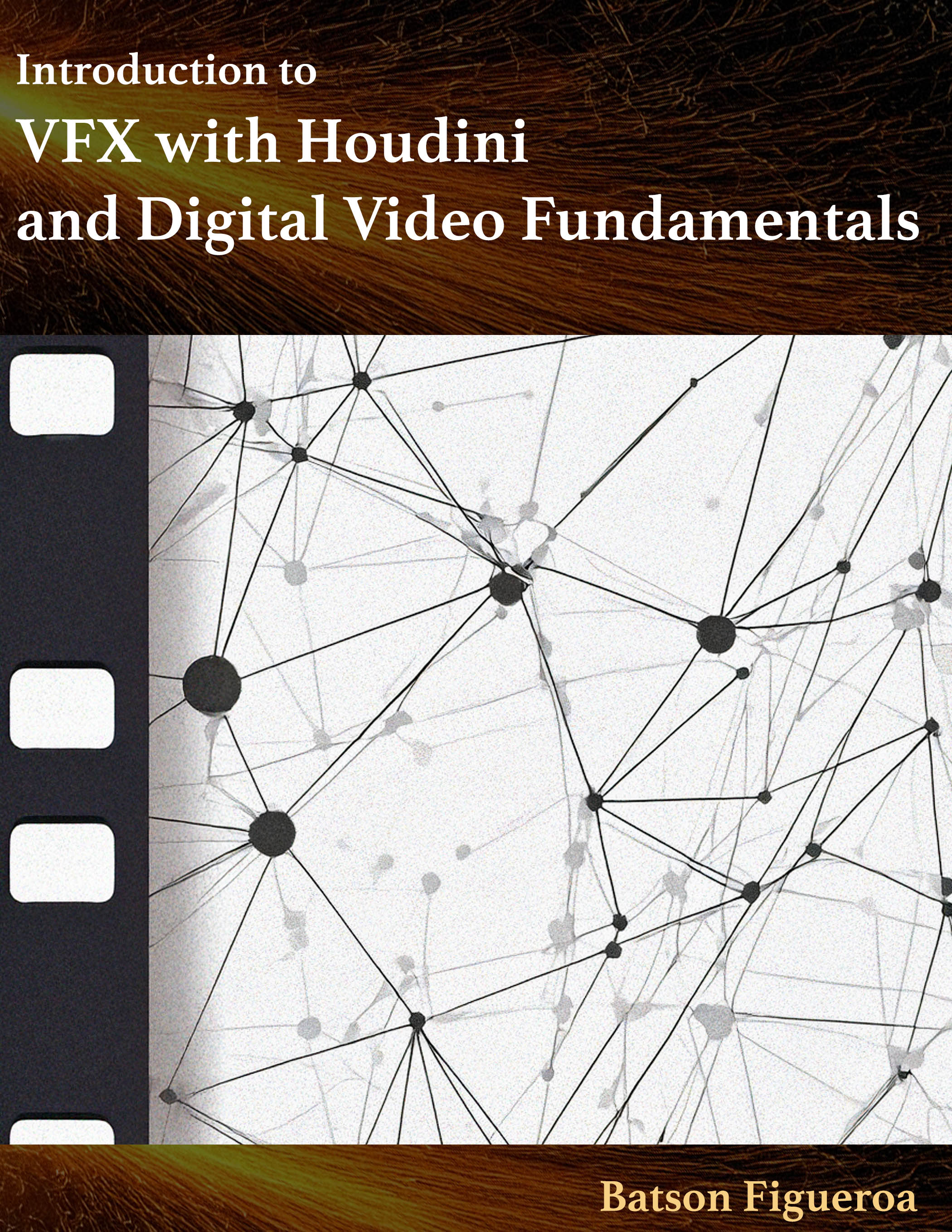 Introduction to VFX with Houdini and Digital Video Fundamentals